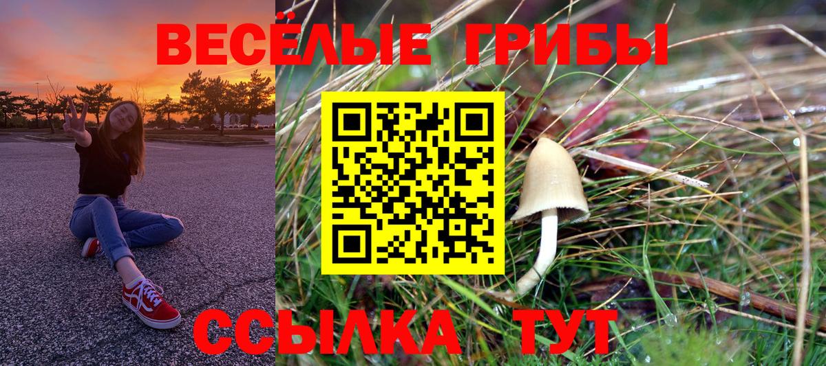 Златоуст  Псилоцибиновые грибы ЛСД  Псилоцибиновые грибы Magic Shrooms  Вход с VPN 