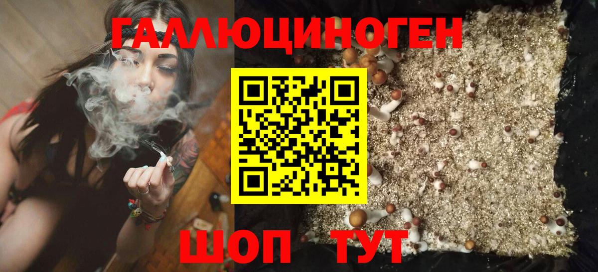 Галлюциногенные грибы Magic Shrooms Златоуст